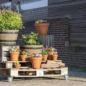 Appartement @, Geulle